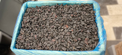 مویز درشت اعلا کارتن 10 کیلویی