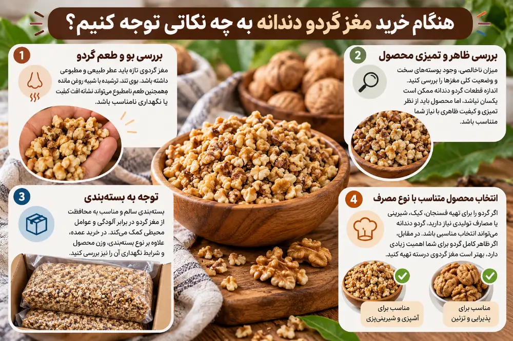 نکات مهم خرید مغز گردو دندانه شامل بررسی تازگی، تمیزی، بستهبندی و نوع مصرف