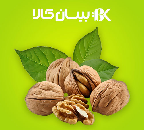 صفحه نخست - بالا تکی 2