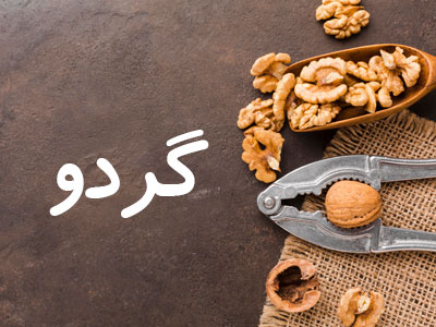 صفحه نخست - گردو