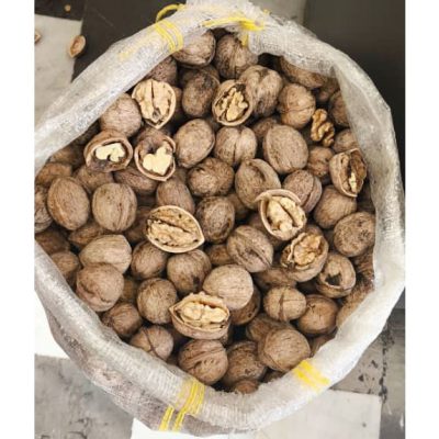 صفحه نخست - با پوست تویسرکان