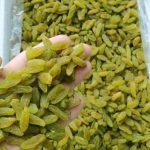 کشمش سبز قلمی ممتاز کارتن 5 کیلویی