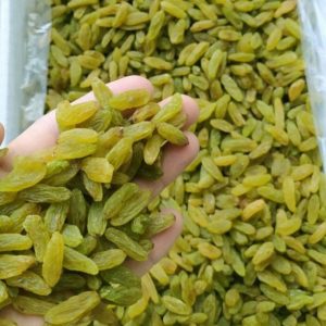 کشمش سبز قلمی ممتاز کارتن 5 کیلویی