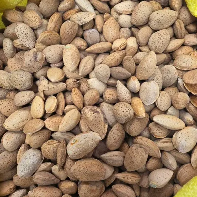 صفحه نخست - Iranian Whole Almonds in Shell